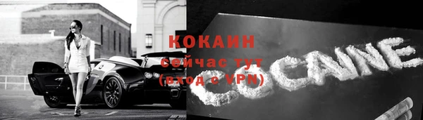 прущие грибы Нязепетровск