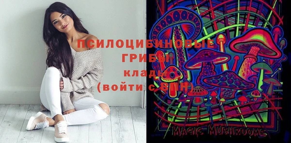 сатива Осташков