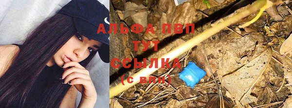 прущие грибы Нязепетровск