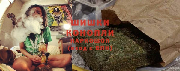 дживик Иннополис