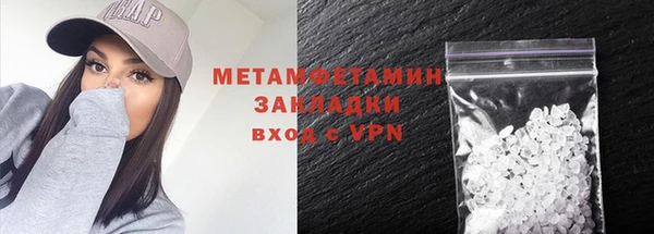 прущие грибы Нязепетровск